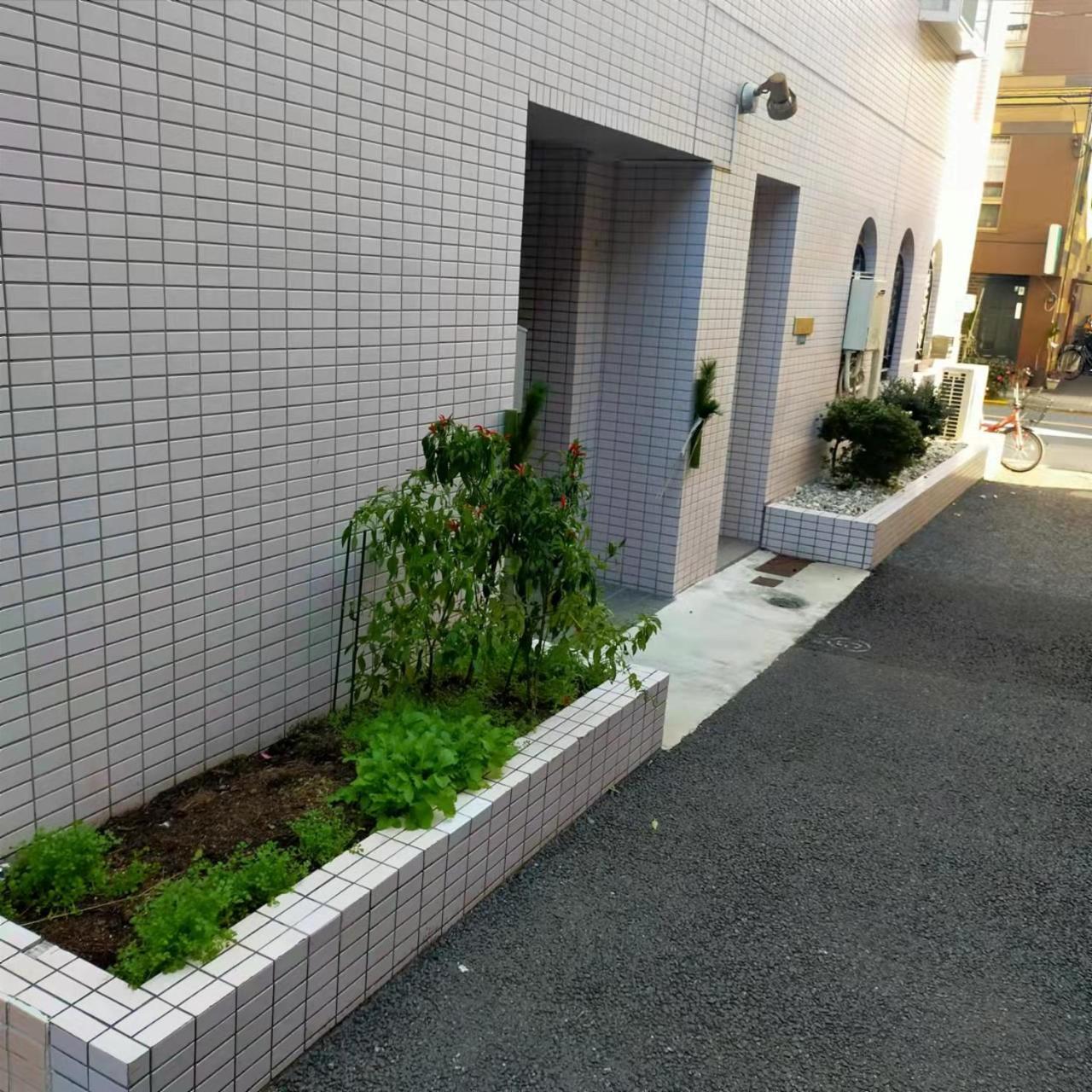 Shiki No Sai Asakusa * Präfektur Tokio